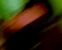 Секс на камеру с кавказской парой