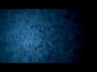 Домашнее порно с кавказскими любовниками на ВКонтакте