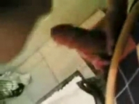 порно пошлый чат рулетка русские кавказские
