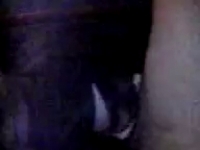 Порно видео с волосатыми руками кавказских женщин